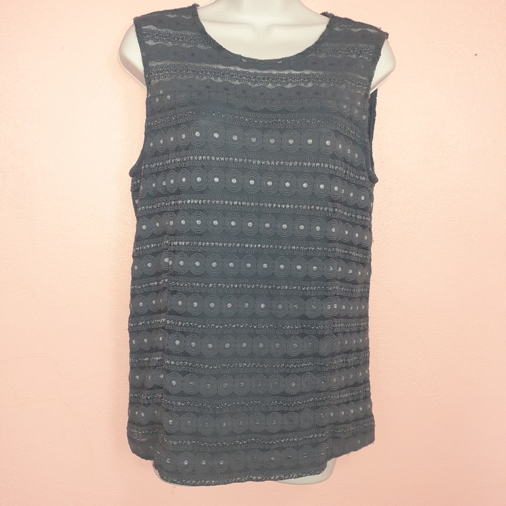 Ann Taylor petite blue mesh top